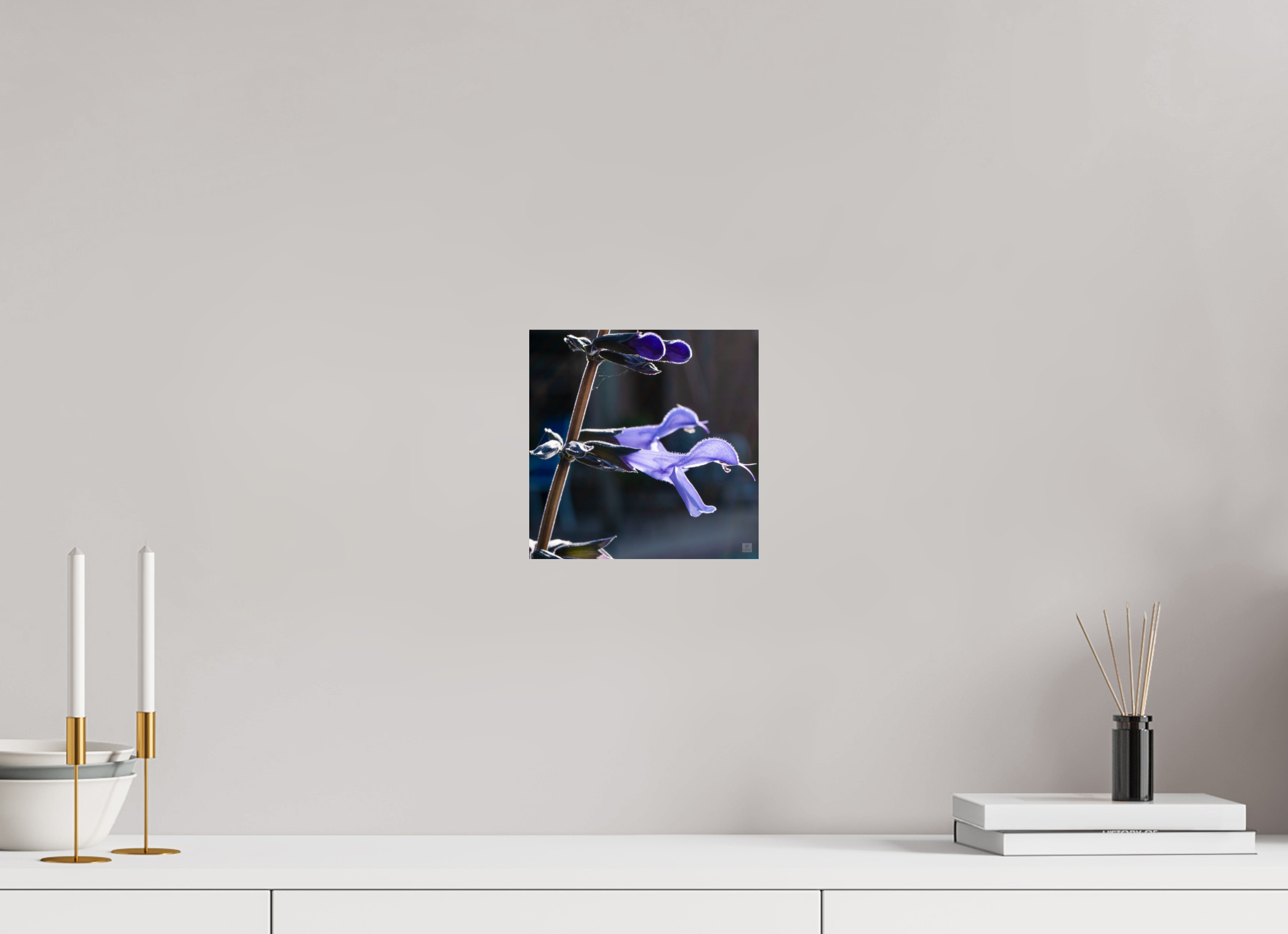 Blue black sage_group_aspect ratio 1x1