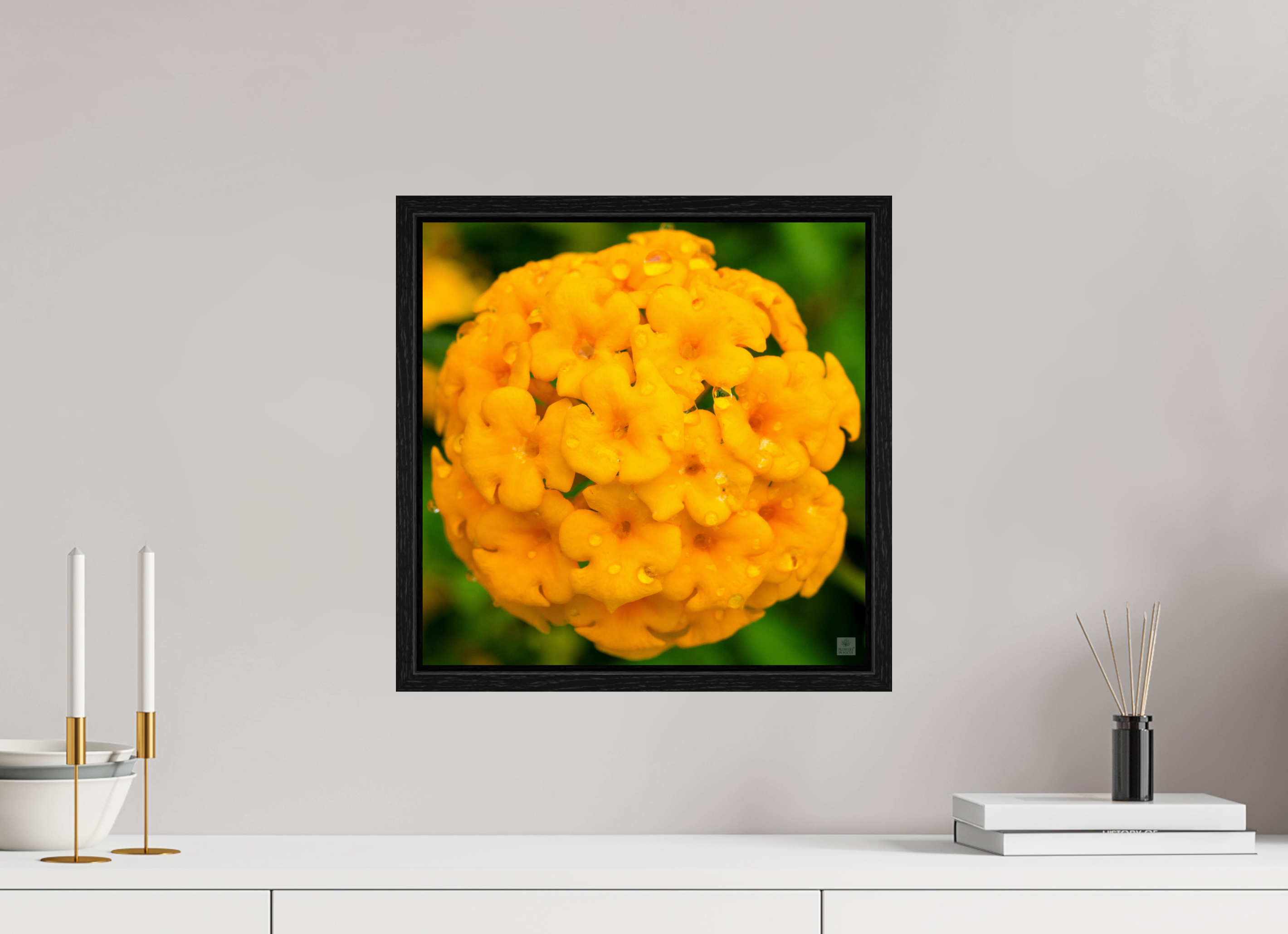 Lantana hybrid_yellow (with water droplets)_aspect ration 1x1