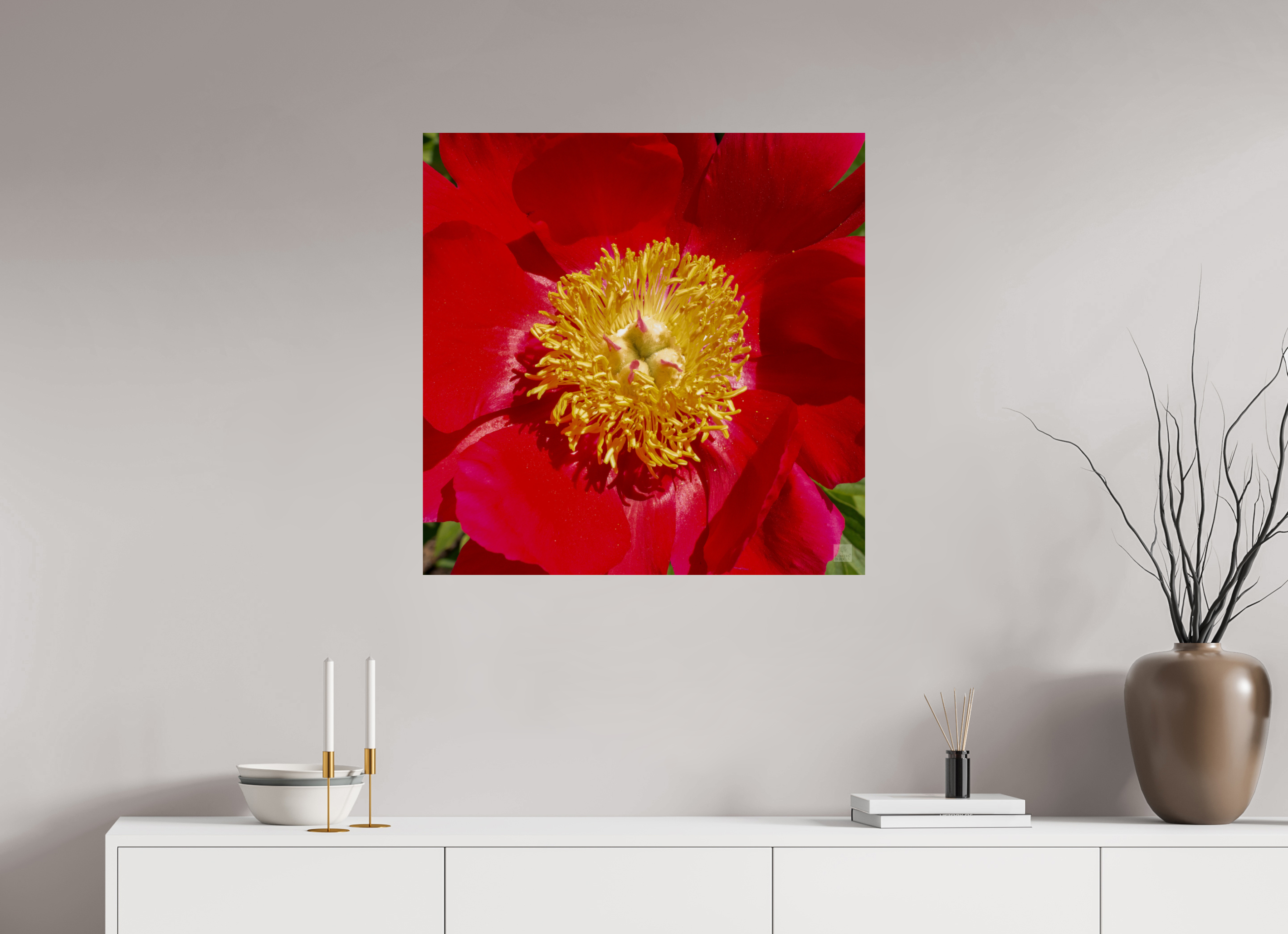 Peony_red close up_aspect ratio 1x1