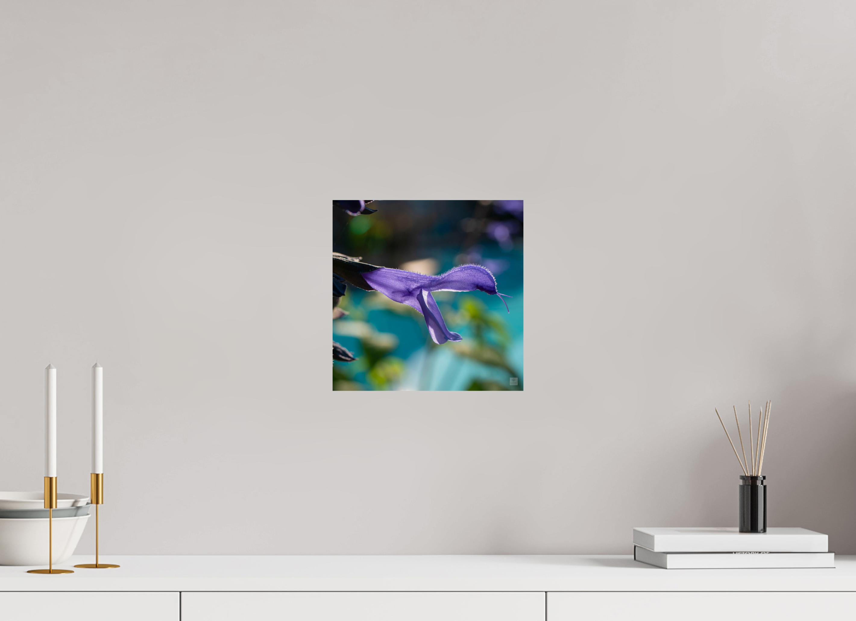 Blue black sage_single_aspect ratio 1x1