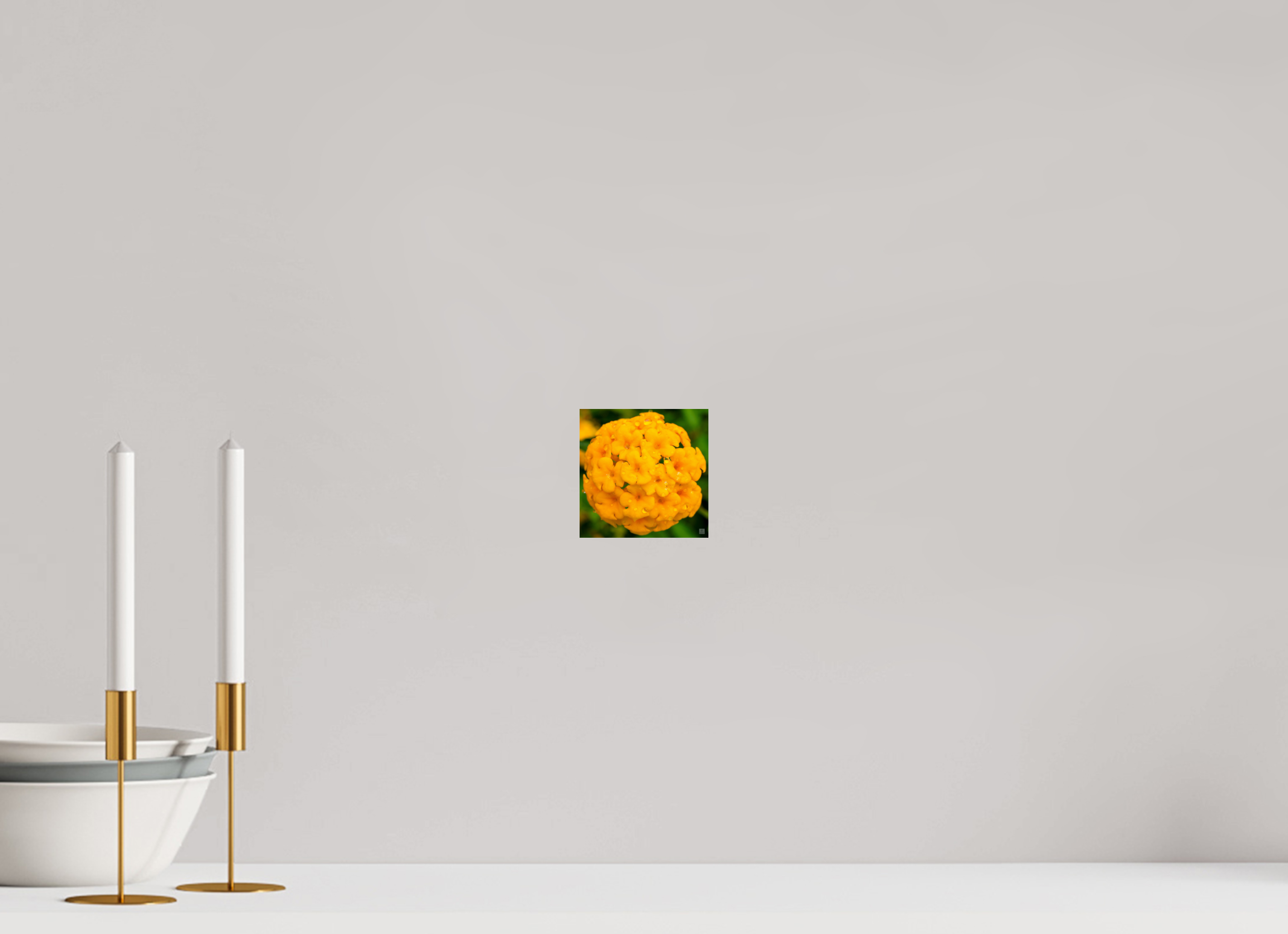 Lantana hybrid_yellow (with water droplets)_aspect ration 1x1